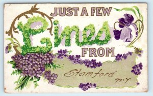 STAMFORD, NY New York ~ JUST a few LINES ~ Embossed w/Flowers c1910s Postcard