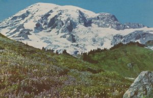 America Postcard - Mt Rainier National Park, Washington State    RS22000