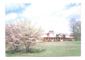 Spring Blossoms Kentucky Horse Farm,