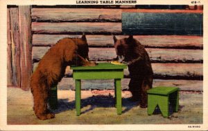 Bears Learning Table Manners Curteich