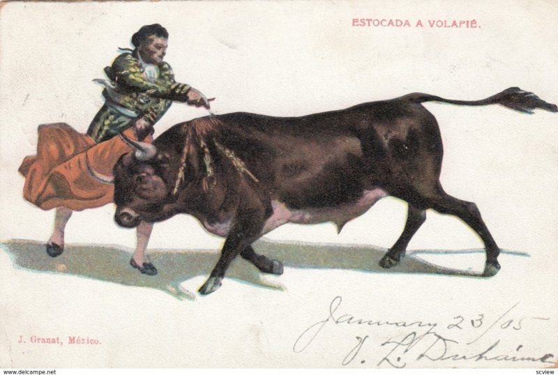 Bull Fighting ; Estocada a Volapie , 1905