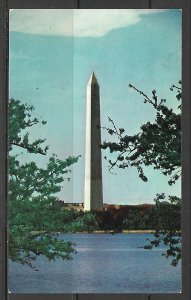 Washington DC - Washington Monument - [DC-325]