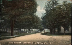 Catskill Mountains New York NY Lexington Main Street c1910 Vintage Postcard