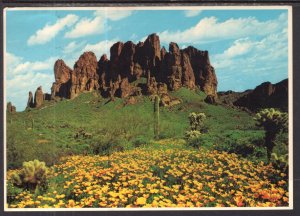 Superstition Mountain,AZ BIN