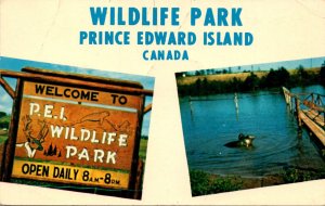 Canada Prince Edward Island Wildlife Park Near The Village Of North Rustico