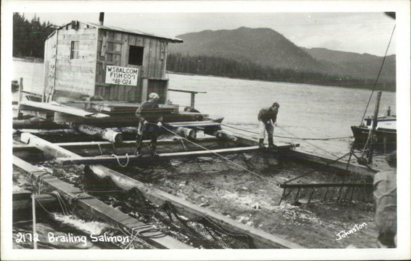 Alaska Fishing Industry Brailing Salmon - Johnston Real Photo Postcard 