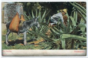 Tlalchiquero Mexico 1907c postcard