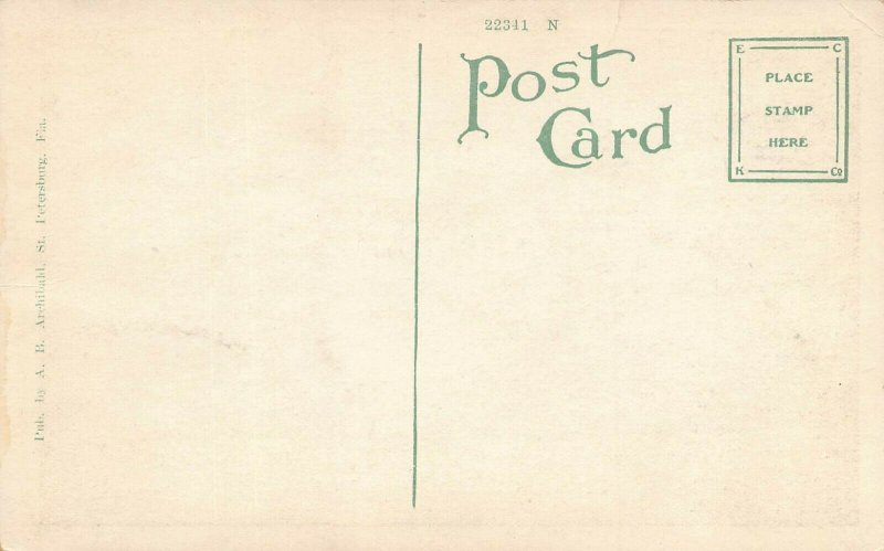 LPS87 ST. PETERSBURG Florida Mexis Restaurant Interior View Postcard