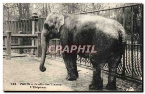 Paris - 5 - Garden Plants - L & # 39Elephant - Old Postcard