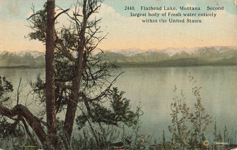 Postcard Flathead Lake, Montana  Second Largest Body of Fresh Water ME8.
