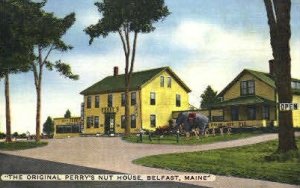 Perry's Nut House in Belfast, Maine