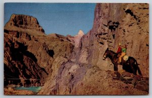 At The Bottom Of The Grand Canyon National Park Horseback Rider AZ Postcard L12