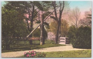 Tappan NY George Washington Masonic Shrine The Well Hand-Colored Postcard