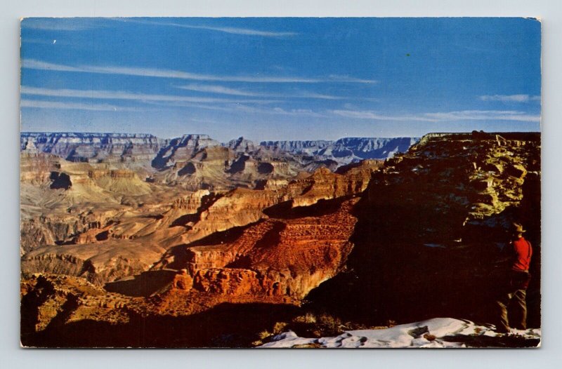 Grand Canyon National Park Arizona AZ Postcard UNP VTG Mike Roberts Unused 