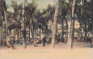 Florida Palm Beach Afternoon Tea Under The Palms Rotograph