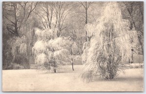 Vintage Norway Winter Scene Postcard by Abel Christiania Brevkort P95