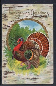 Thanksgiving Greetings Turkey