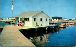 Vtg 1950s Wilsons Pier Dewey Beach Rehoboth Bay Delaware DE Chrome Postcard