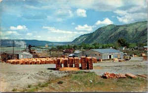 Postcard A Typical Small Sawmill in Washington~133628