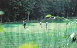 Golf Course Schuss Mountain Resort Mancelona Michigan