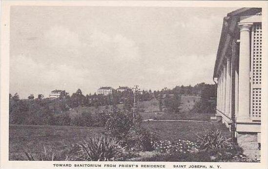 New York Saint Josephs Toward Sanitorium From Priests Residence Albertype