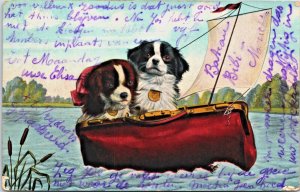 Cute Dogs In A Boat Puppy Vintage Postcard C068