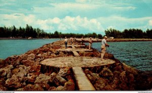 Florida Venice Fishing On The Jetties 1964