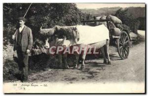 Old Postcard Folklore Basque hitch Oxen