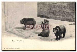 Old Postcard Bern Bear Die Baren