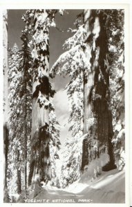 America Postcard - Yosemite National Park - California - Ref 8820A