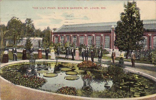 Missouri Saint Louis The Lily Pond Shaws Garden 1909
