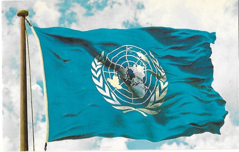 Official Flag of the United Nations New York New York