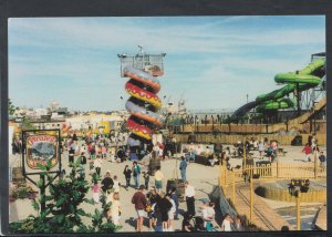 Essex Postcard - Peter Pan's Playground Adventure Land, Southend-On-Sea BX742