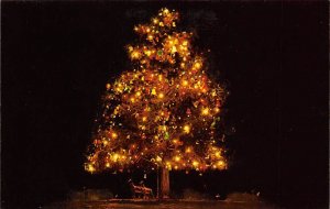 Christmas Tree at Santa Claus Island Indiana, USA Unused 