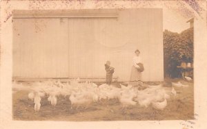 Farm Misc, New York NY Postcard