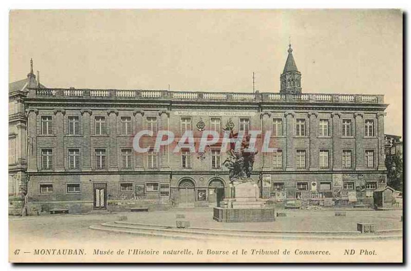 Old Postcard Montauban Museum of Natural History Stock Exchange and the Comme...