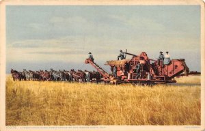 San Joaquin Valley California 24 Horsepower Harvester, White Border PC U14015