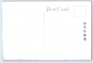 Japan Postcard Panorama of the Shinyu Hot Spring in Unzen c1910 Unposted