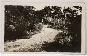 RPPC Panama Vintage Dirt Road Palm Trees Livestock Photo Postcard E12