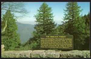 Virginia SHENANDOAD NATIONAL PARK Hemlock Forest Marker - Chrome