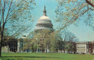 Postcard United States Washington D.C. U.S. Capitol