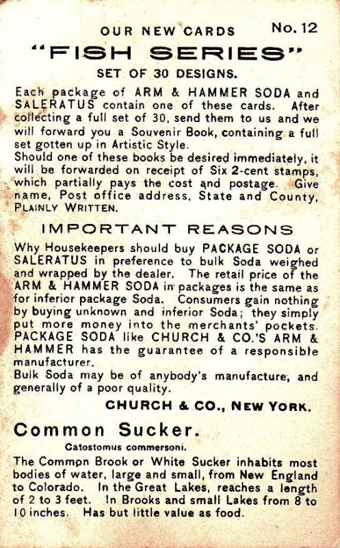 Fish Series 1900 - Common Sucker - Arm & Hammer Trade Card