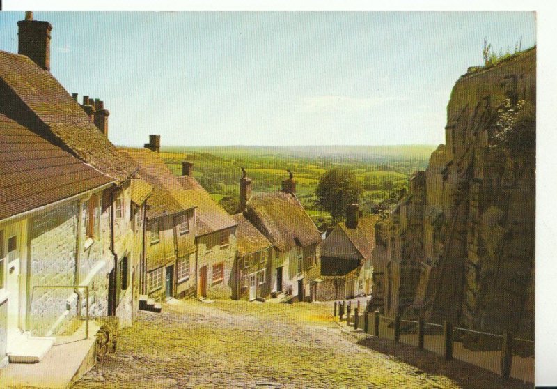 Dorset Postcard - Gold Hill - Shaftesbury - Ref 18583A 