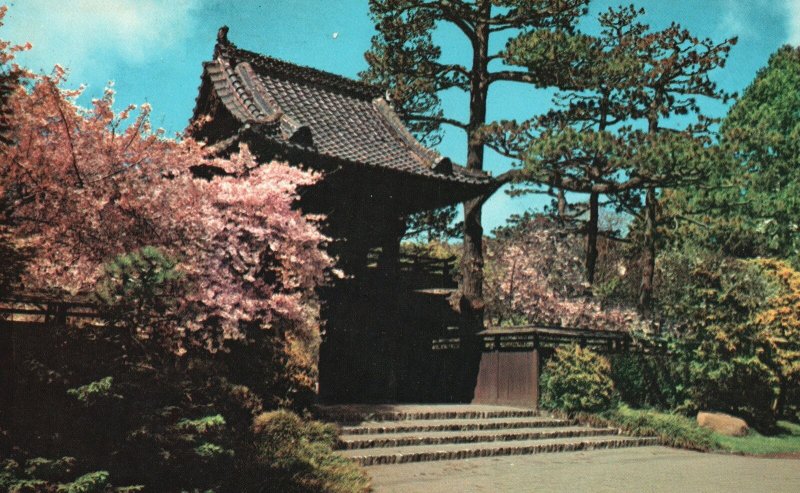 Vintage Postcard Oriental Tea Garden Golden Gate Park San Francisco California