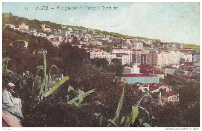 ALGER - Vue Generale , 00-10s