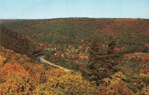 COOKSBURG & CLARION RIVER PENNSYLVANIA~AS SEEN FROM FIRE TOWER~1960s POSTCARD