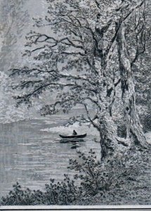 1870s Engraved C.F. Wing's Dry Goods Trees Lake Swamp Scenes Set Of 4 F114