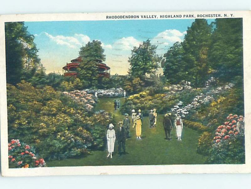 W-Border BOTANICAL SCENE Rochester New York NY HJ7116