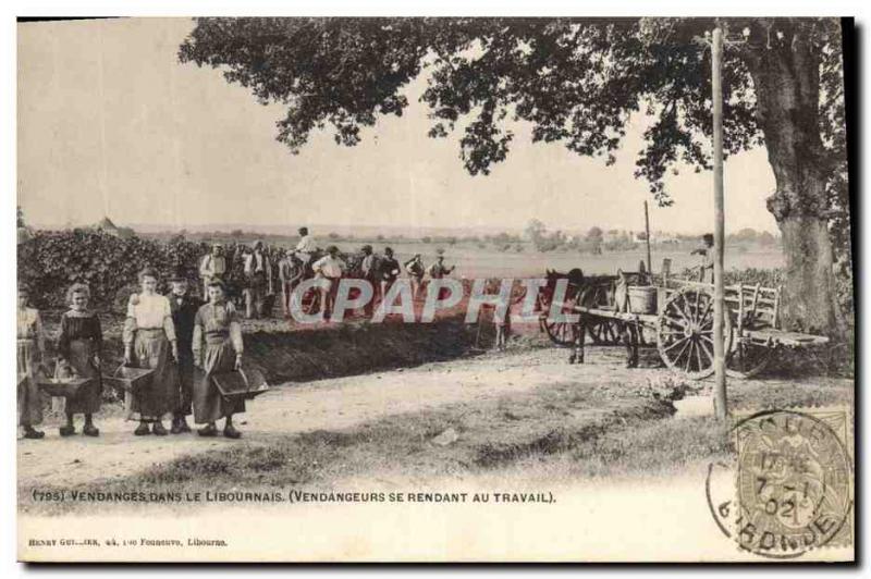 Old Postcard Folklore Wine Vineyard Harvest in the Libourne Vendangeurs going...