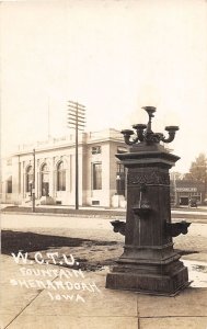 J40/ Shenandoah Iowa RPPC Postcard c1910 WCTU Fountain Prohibition 346